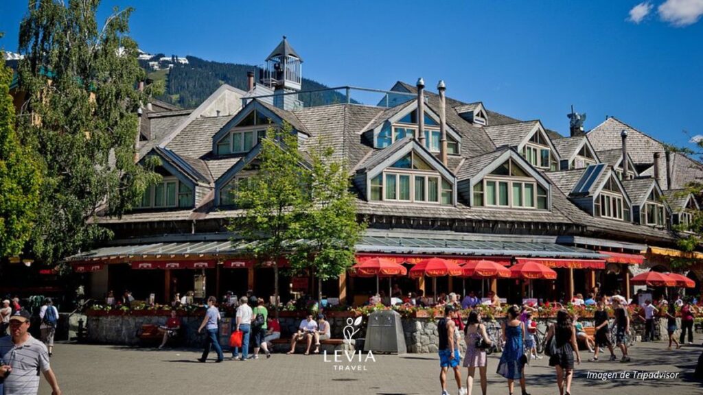 imagen destacada blog levia travel (1)
